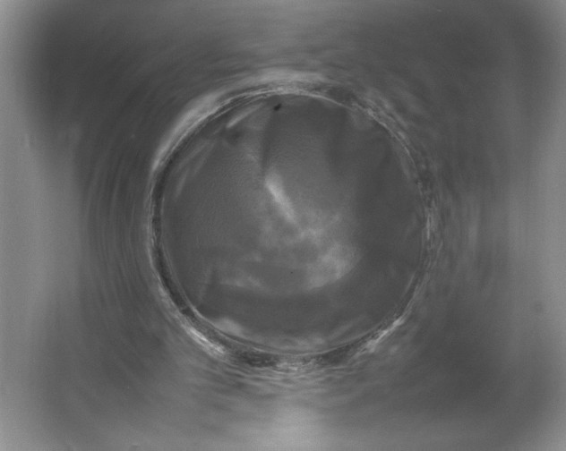X0000064060101200602101541
