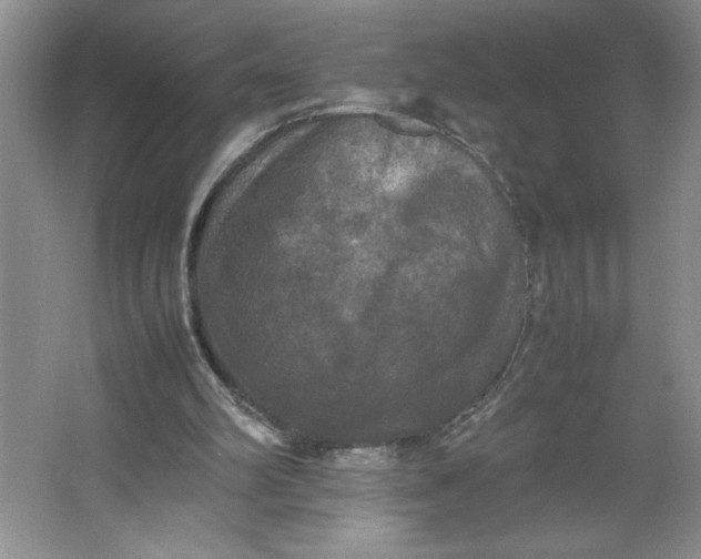 X0000064060102200602101541