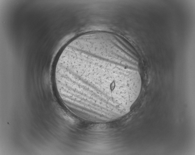 X0000064060104200602101540