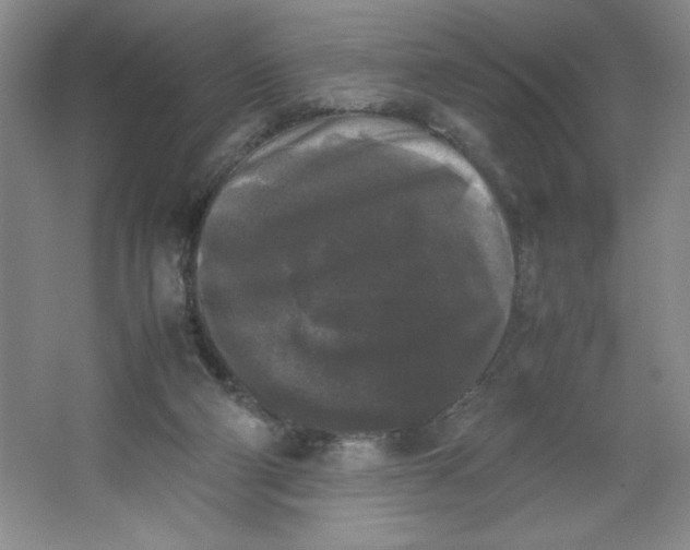 X0000064060114200602101540