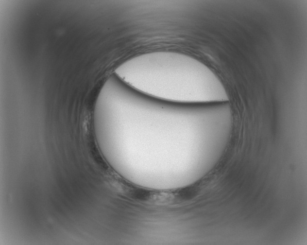 X0000064060125200602101540