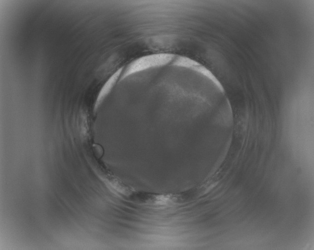 X0000064060130200602101540