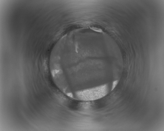 X0000064060131200602101540