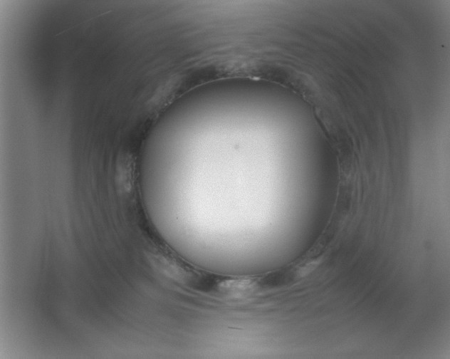 X0000064060133200602101540