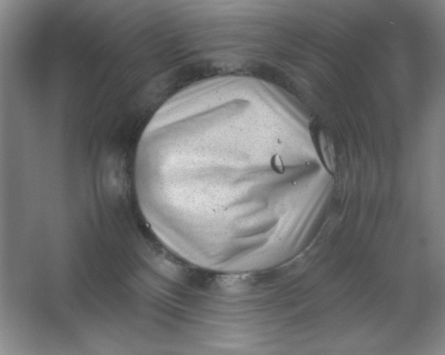 X0000064060136200602101540