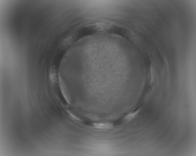 X0000064060137200602101540