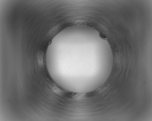 X0000064060138200602101540