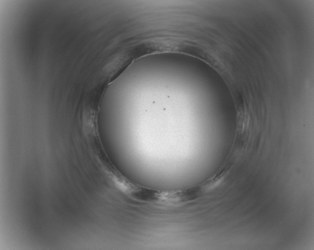 X0000064060141200602101540