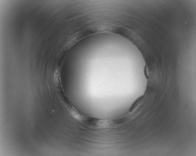 X0000064060142200602101540