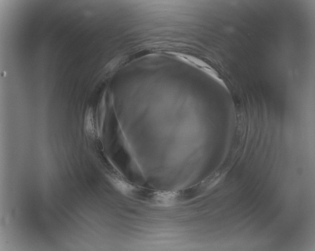 X0000064060143200602101540