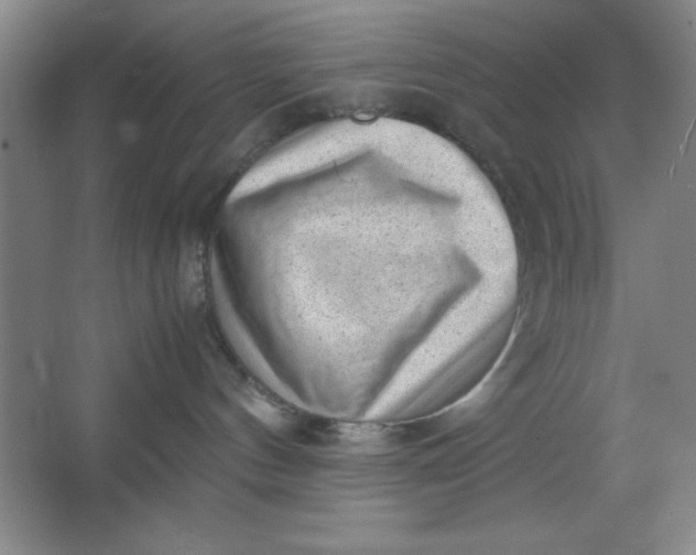X0000064060144200602101540