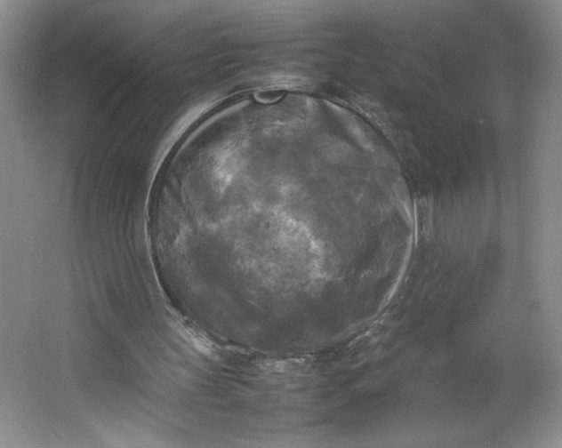 X0000064060147200602101539