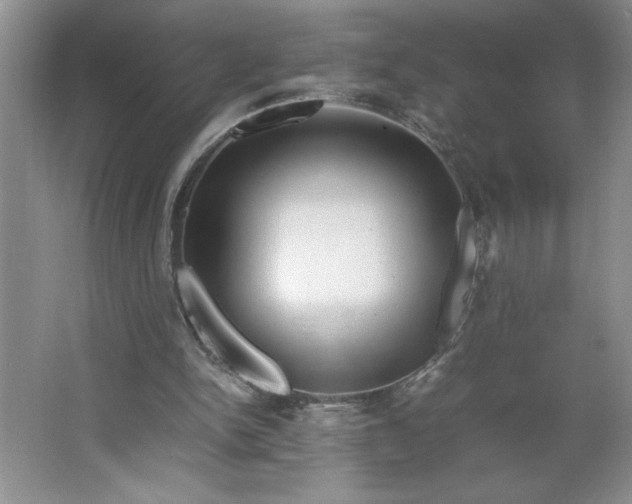 X0000064060150200602101539