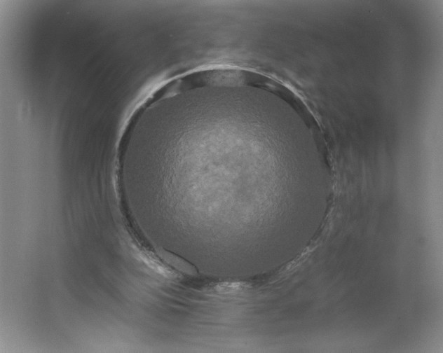 X0000064060152200602101539