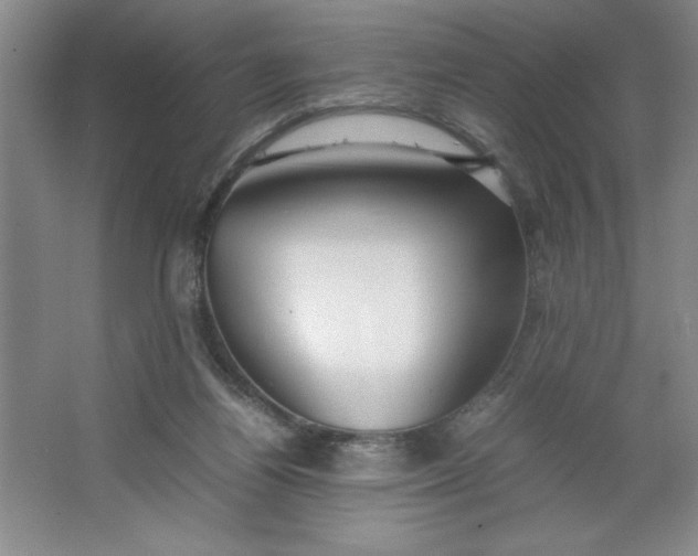X0000064060164200602101539