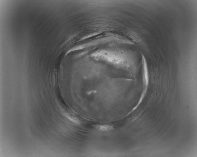 X0000064060165200602101539