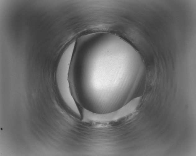 X0000064060168200602101539