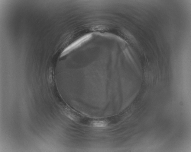 X0000064060169200602101539