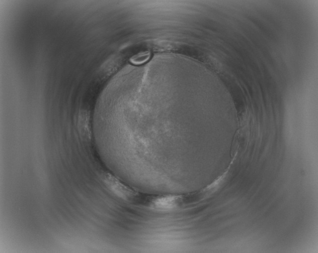 X0000064060178200602101540