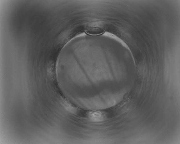 X0000064060181200602101540