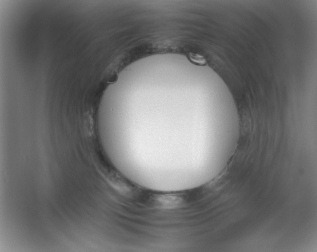 X0000064060183200602101540