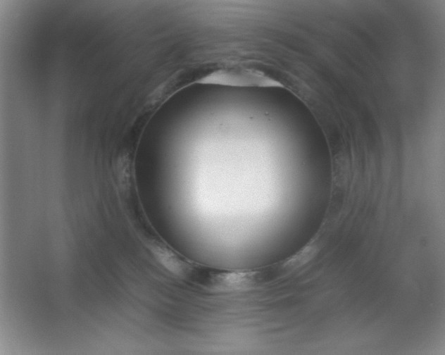 X0000064060184200602101540