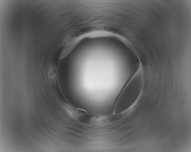 X0000064060186200602101540