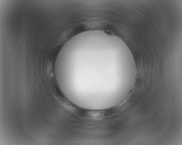 X0000064060187200602101540