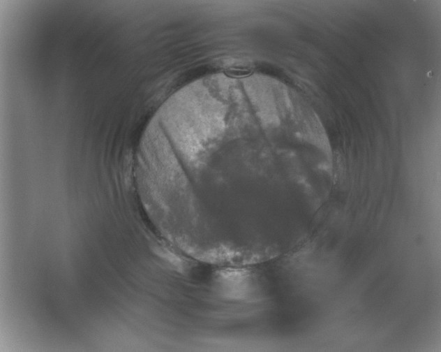 X0000064060189200602101540