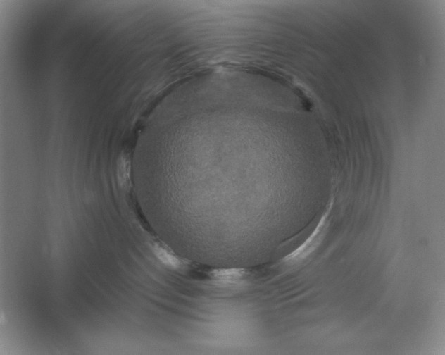 X0000064060192200602101540