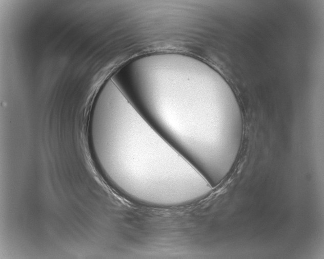 X0000064060193200602101539