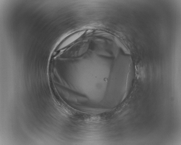 X0000064060196200602101539