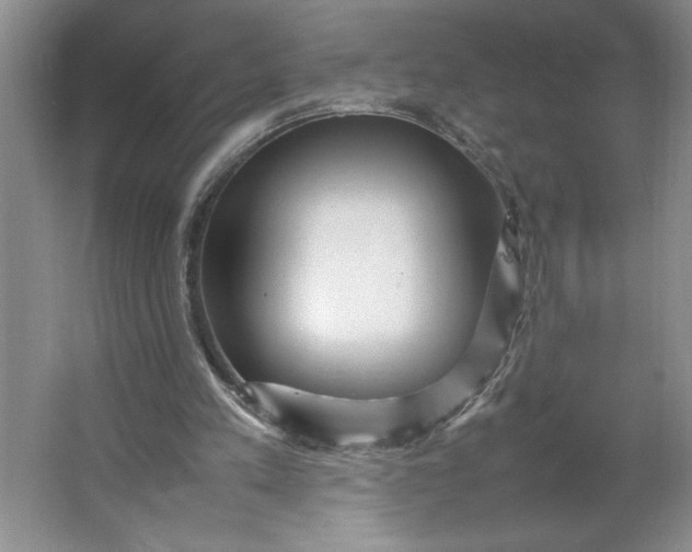 X0000064060197200602101539