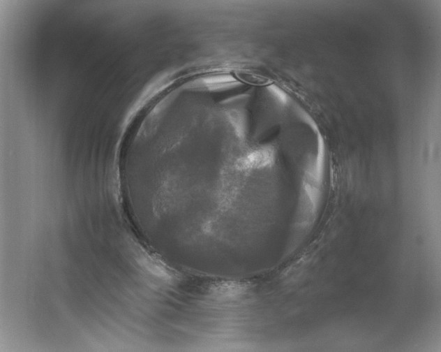 X0000064060198200602101539