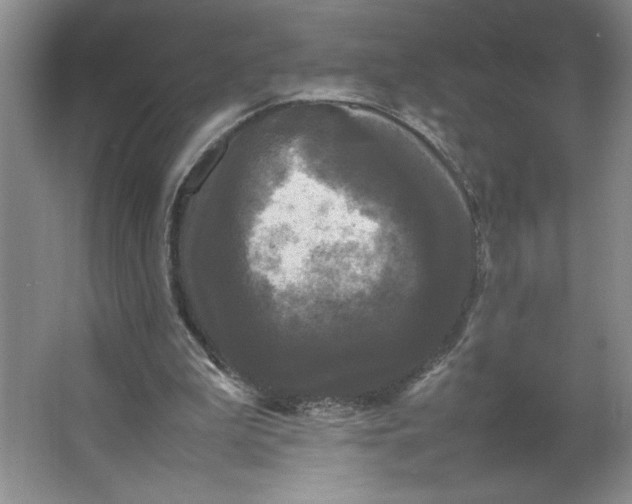 X0000064060199200602101539