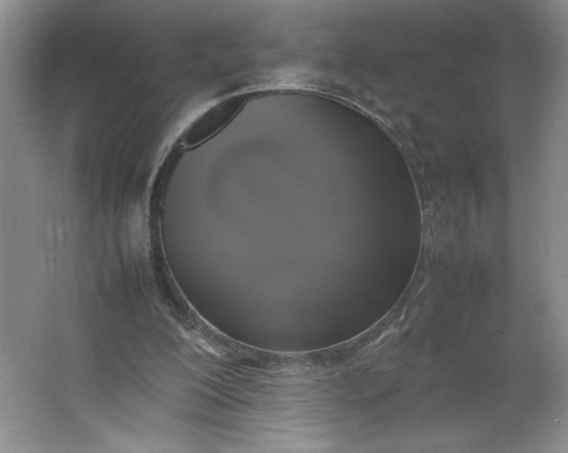 X0000064060200200602101539