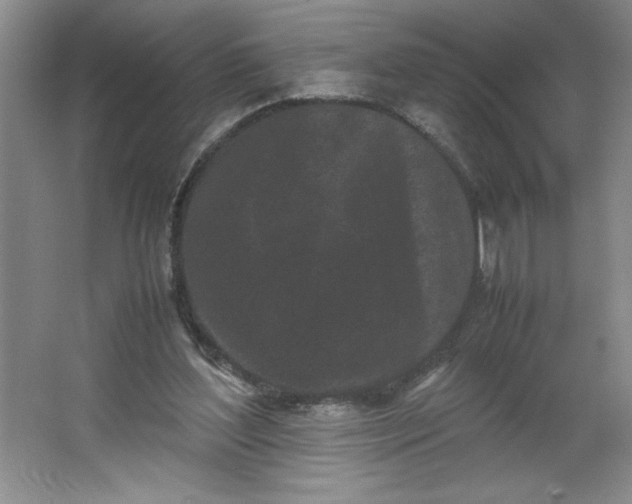 X0000064060204200602101539