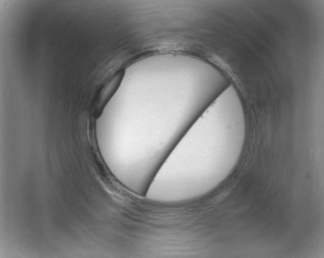 X0000064060205200602101539