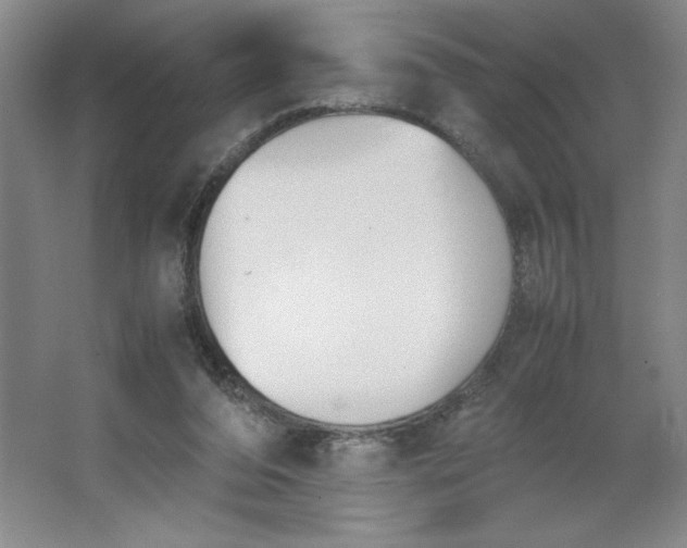 X0000064060208200602101539