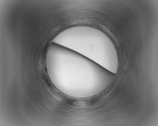 X0000064060209200602101539