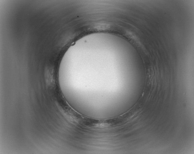 X0000064060212200602101539