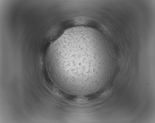 X0000064060215200602101539