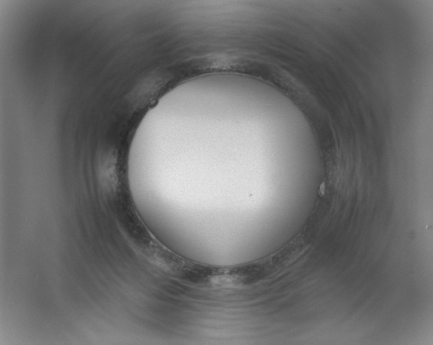 X0000064060216200602101539