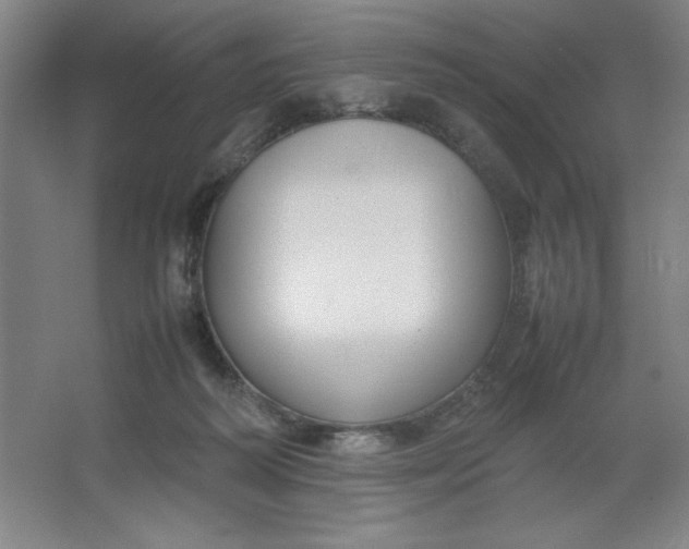 X0000064060218200602101539