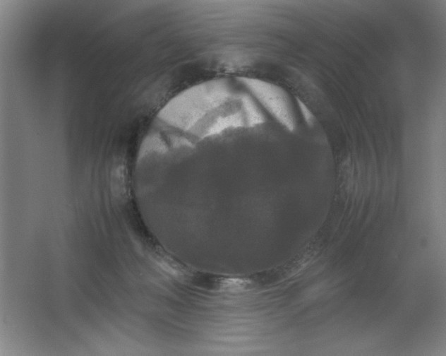 X0000064060222200602101538