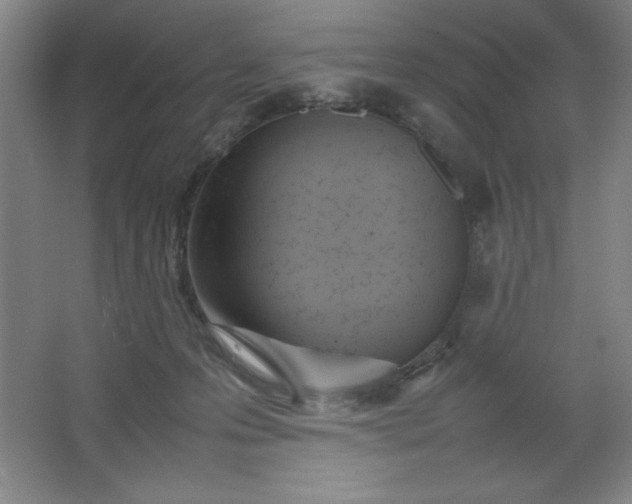 X0000064060223200602101538