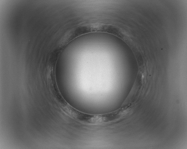 X0000064060225200602101538