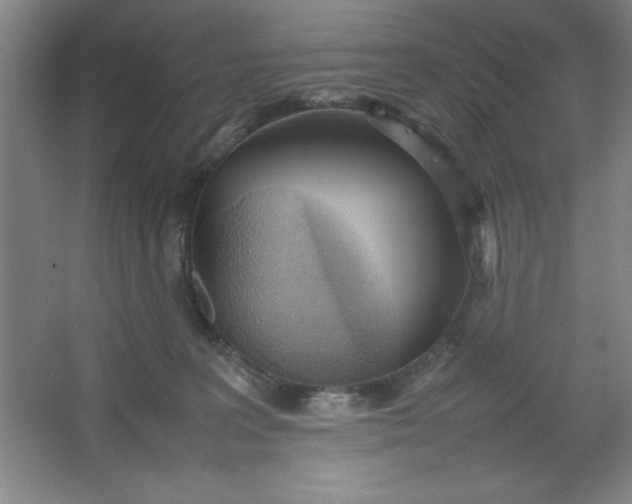 X0000064060227200602101538