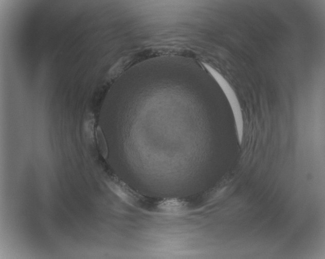 X0000064060231200602101538