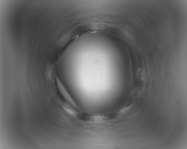 X0000064060233200602101538